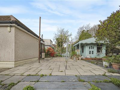 Picture 23